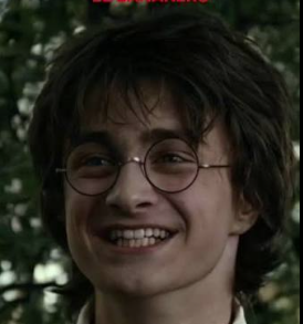Harry el Sucio Potter